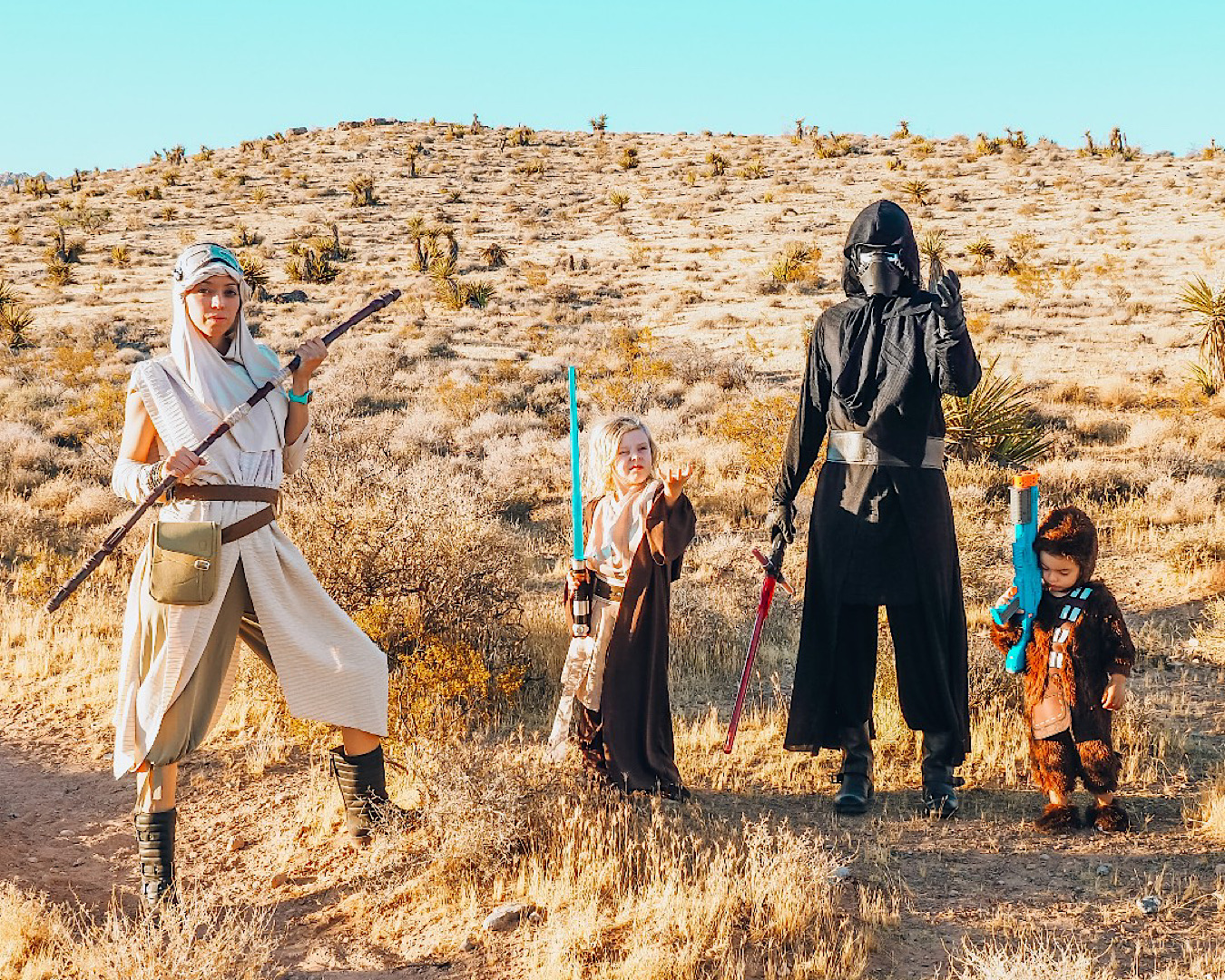 Two adults and two children in a desert-type terrain dressed in Star Wars costumes from HalloweenCostumes.com. 