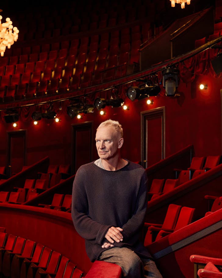 sting for the last ship