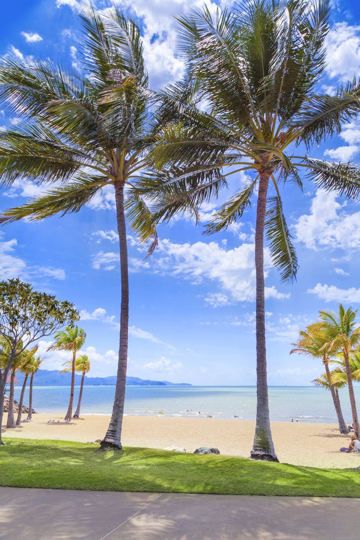 Palm trees and a calm, flat sea at The Strand beach in Townsville