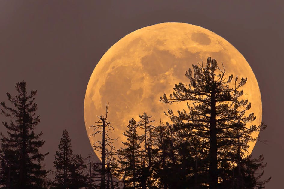 The Final Super Moon Of 2025 Will Rise Tonight