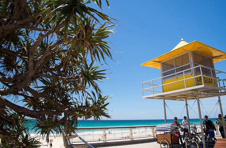 things to do in surfers paradise gold coast