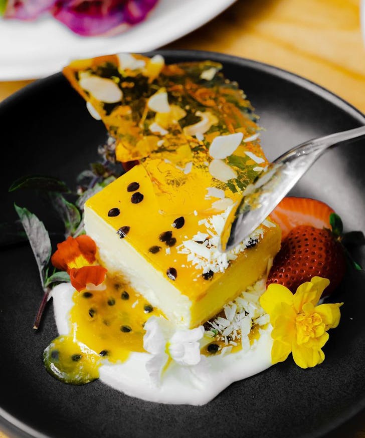 white rhino cheesecake