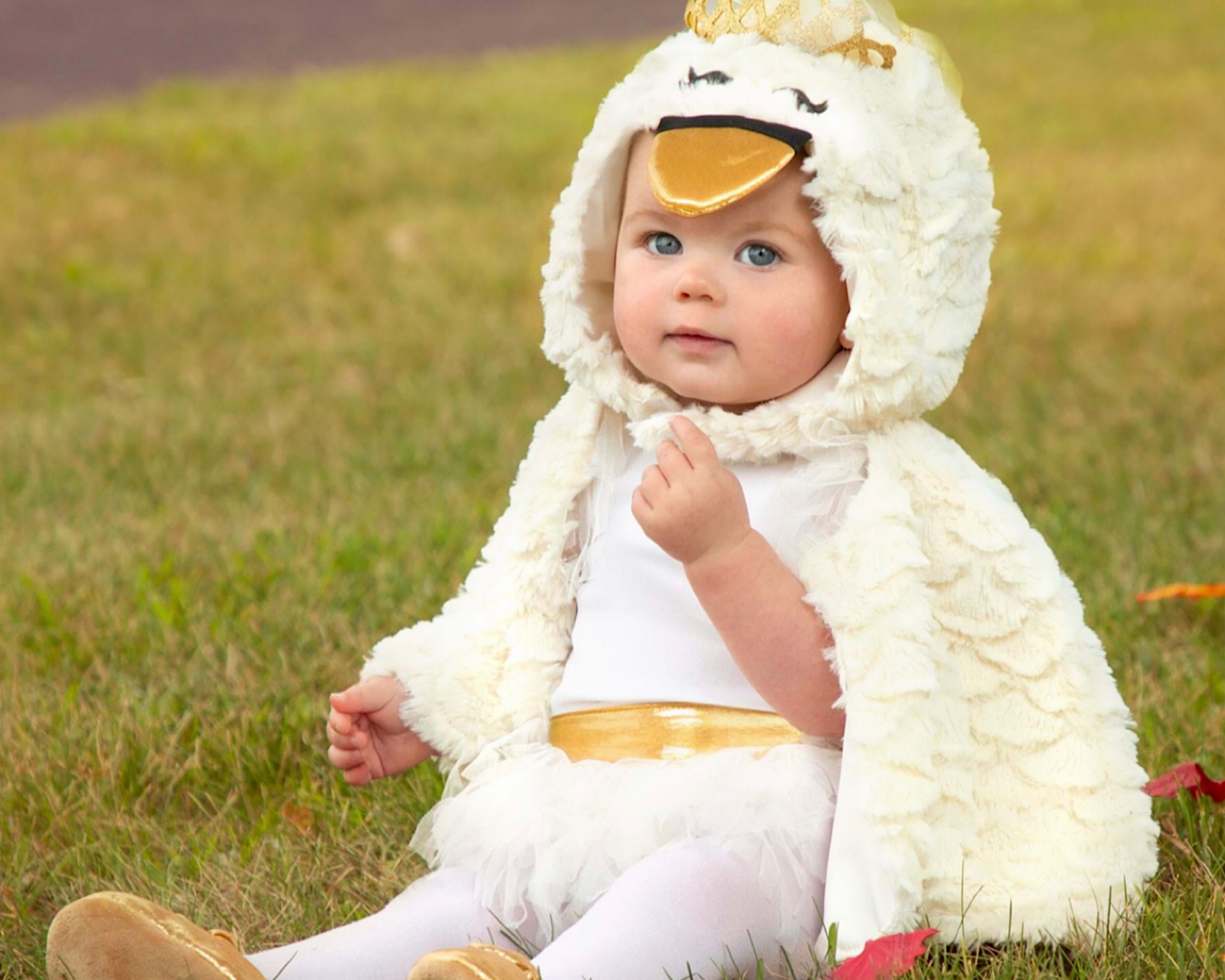 A cute baby dressed up as a swan in a Posh Peanut Halloween costume. 