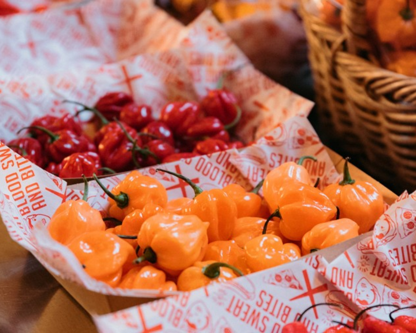 Chillies will be the star of the show at New Zealand's Eighth Annual Hot Sauce Festival. 