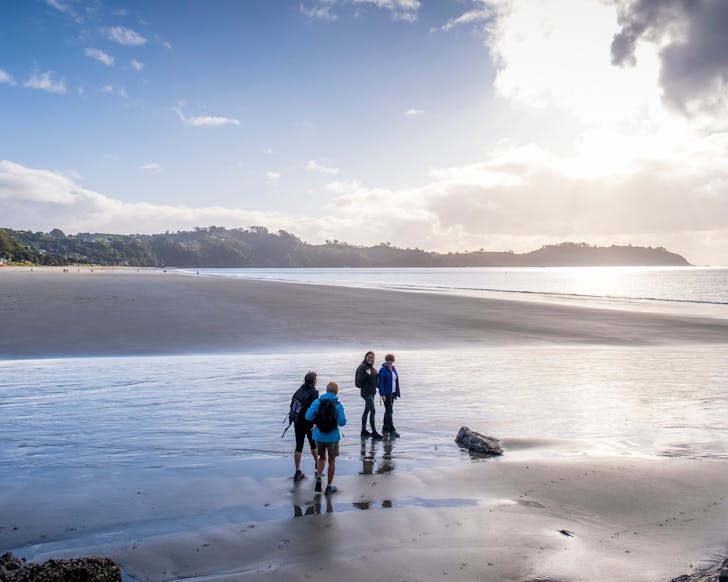 Family Enjoying The Coast of Auckland