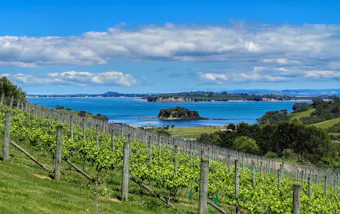 View at Tantalus Estate Vineyard & Restaurant