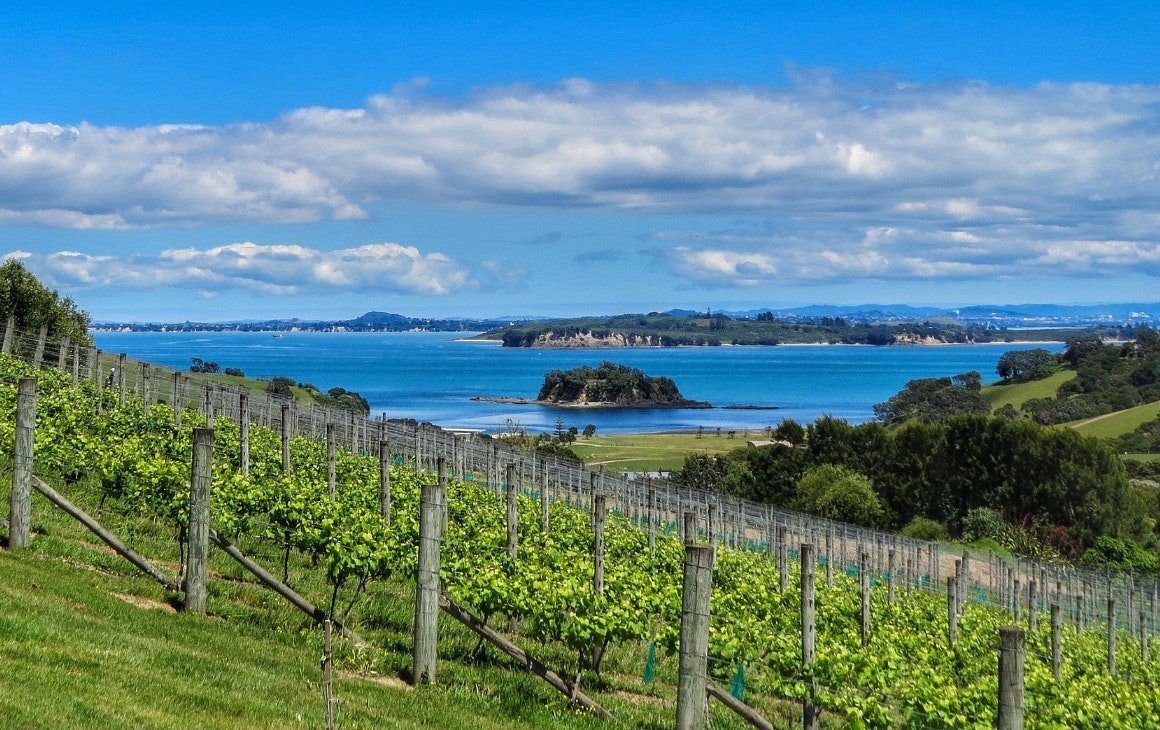 View at Tantalus Estate Vineyard & Restaurant