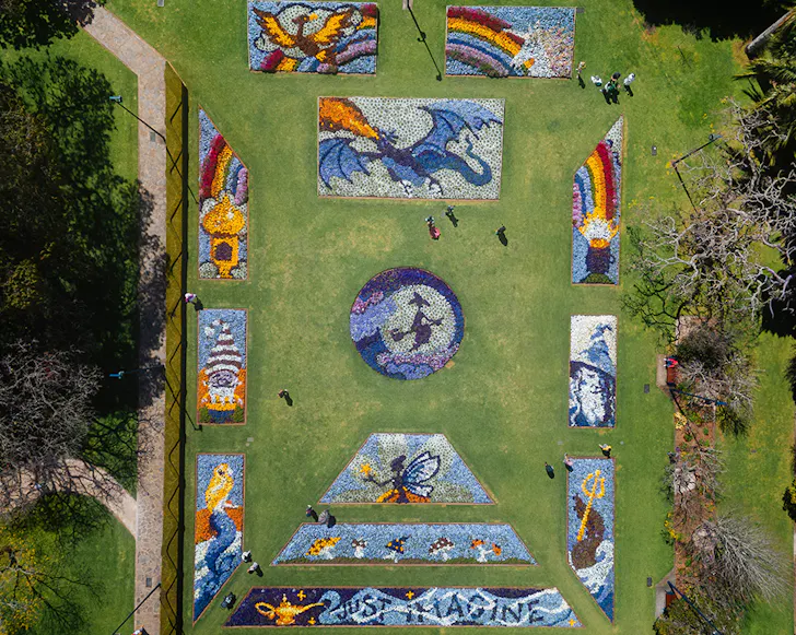 toowoomba carnival of flowers