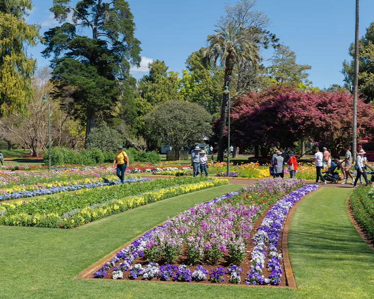 toowoomba carnival of flowers