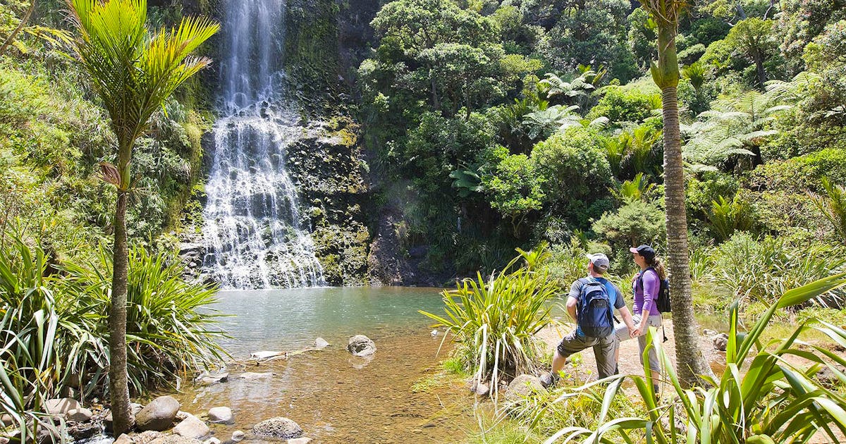 21 Best Auckland Tours, 2023 | URBAN LIST NEW ZEALAND