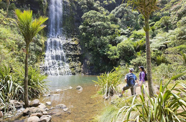 People on a TIME Unlimited Maori Luxury Tour look at a waterfall in the Waitakeres. One of the best tours to take in Auckland.