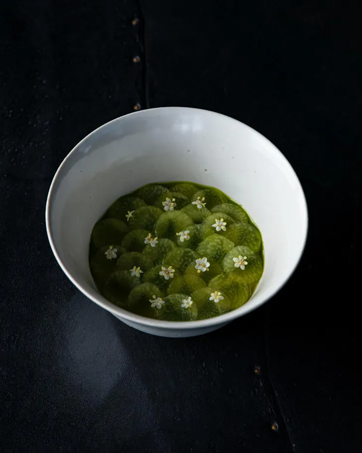 Plate of green ornate flowers