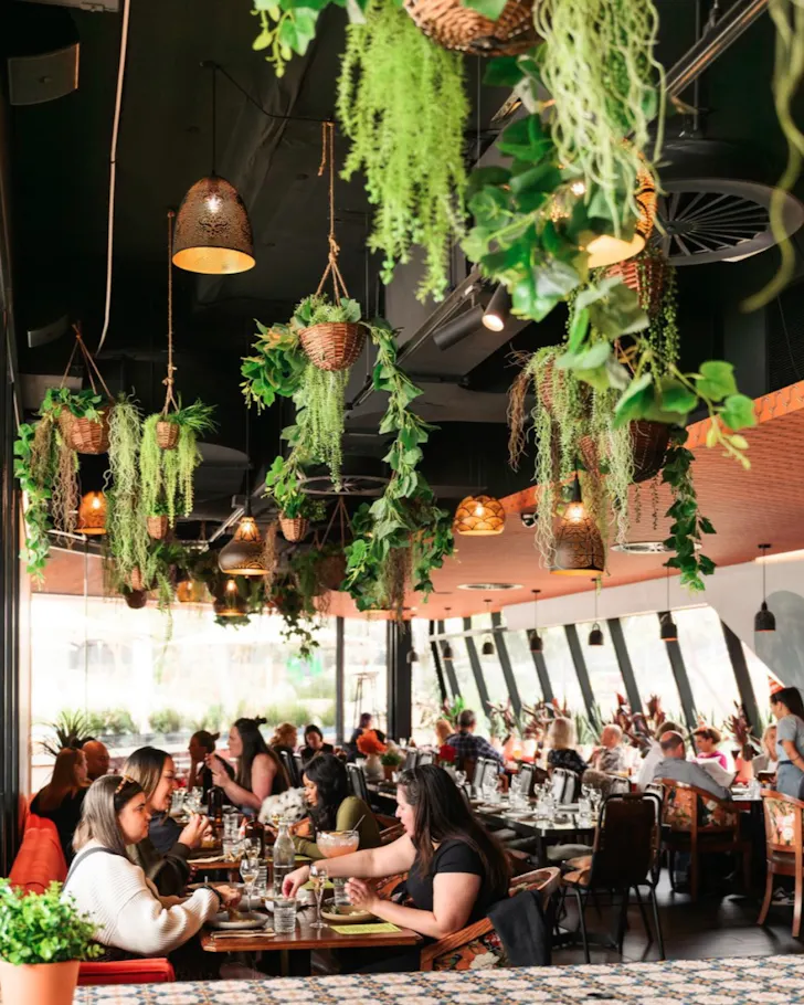 Plants hanging from above full dining room floor of tables 