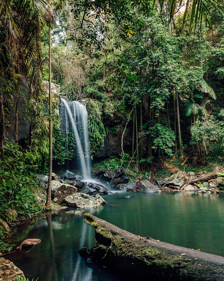 curtis falls