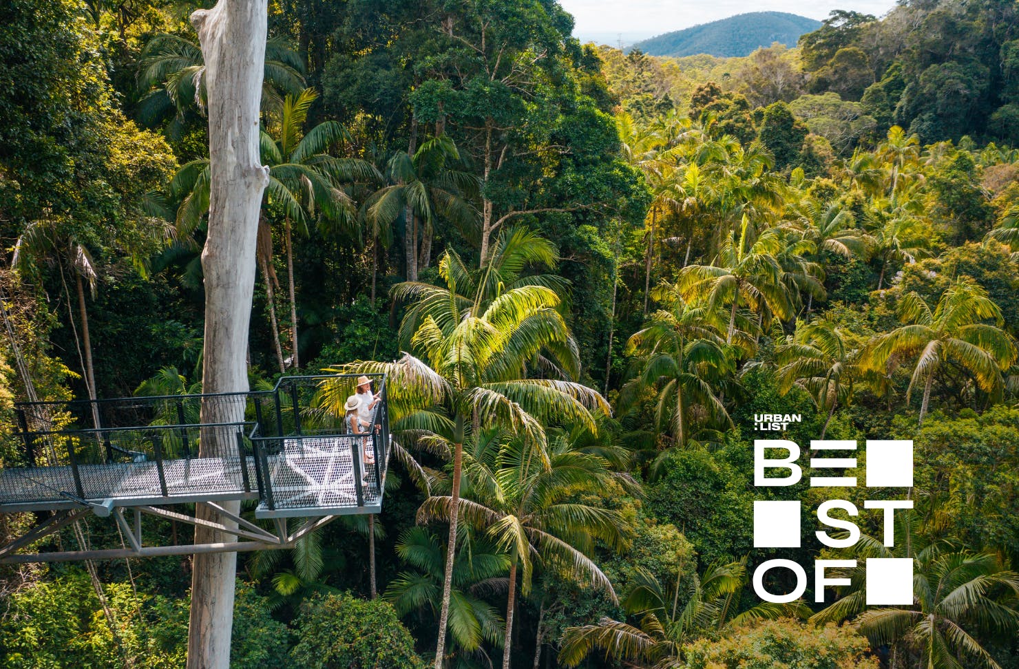 Hit The Road, Here Are The Best Things To Do In Tamborine Mountain