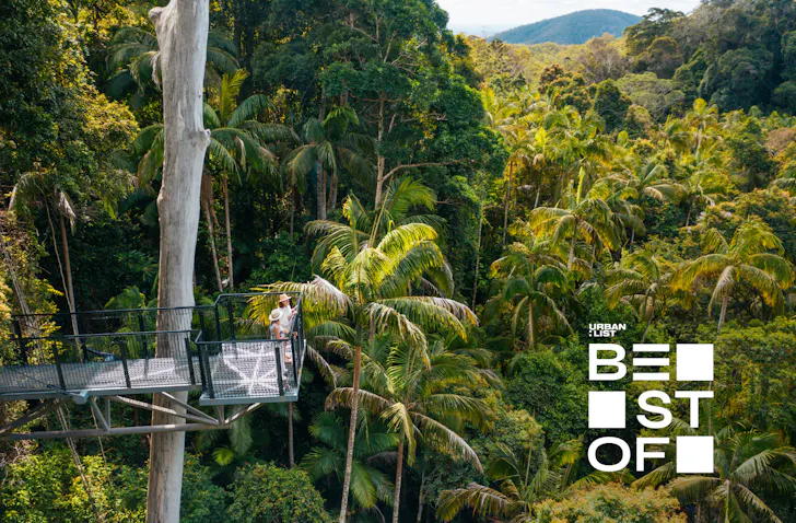 Hit The Road, Here Are The Best Things To Do In Tamborine Mountain