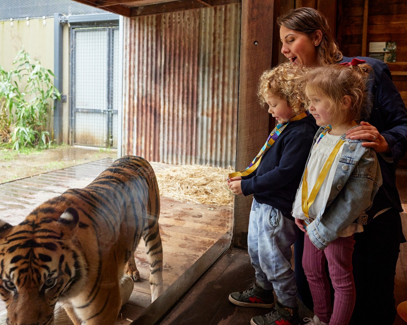 best things to do with kids Sydney Taronga Zoo