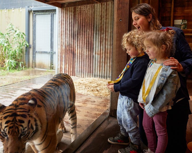 best things to do with kids Sydney Taronga Zoo