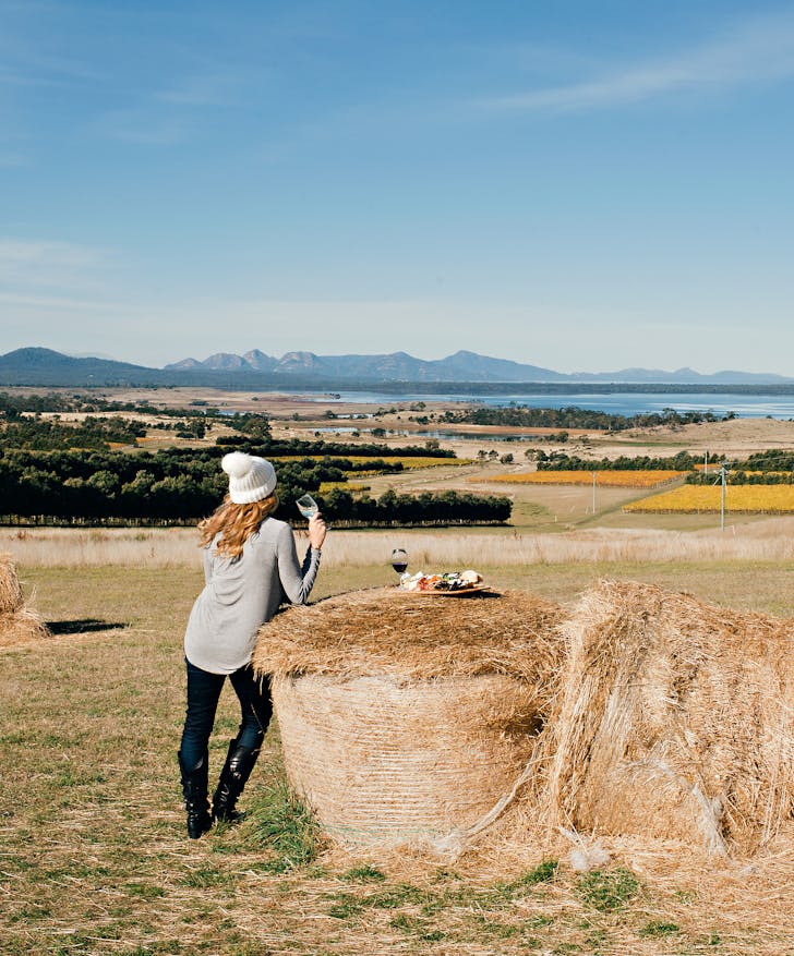 A guest gazes at the scenery at Devil's Corner Cellar Door.
