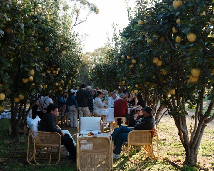 people gathering at a winery in south australia for tasting australia 2026