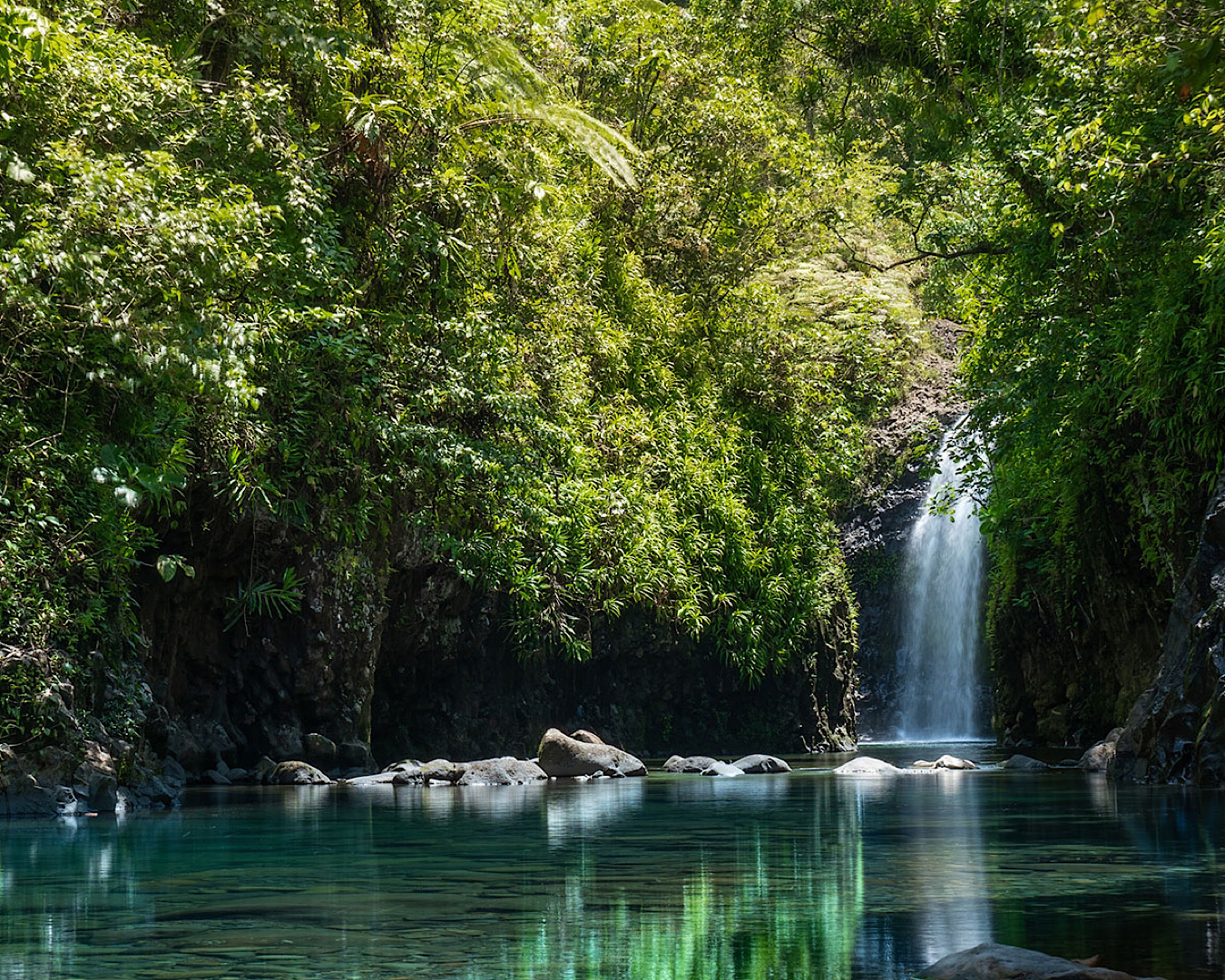 A spectacular waterfall amidst the jungle on Taveuni, Fiji. 