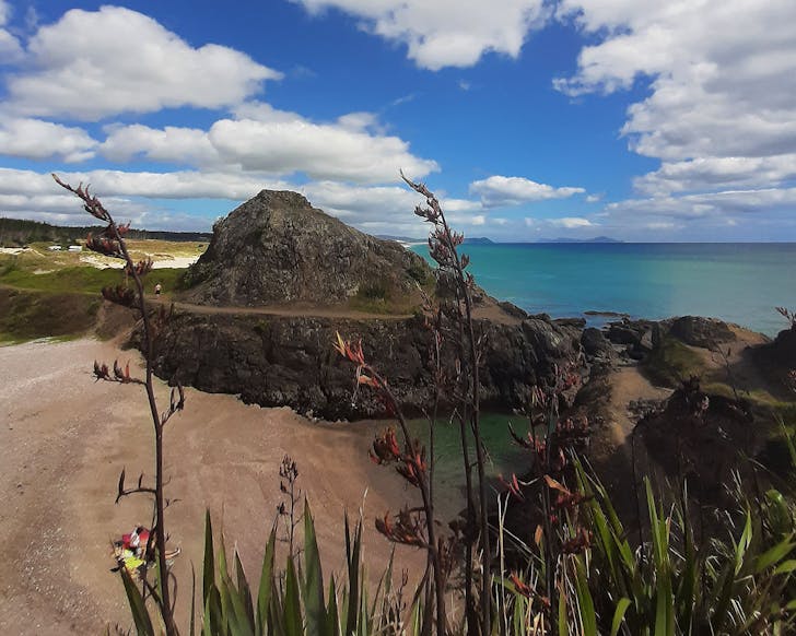 Stunning blue sea and white sand beach at te Arai Regional Park.