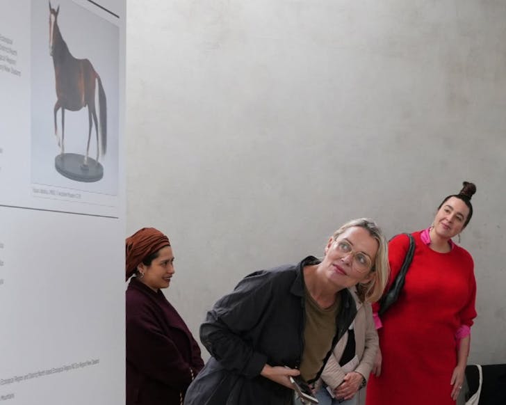 Patrons at Te Uru take a closer look at the ðð¦ð©ð¶ðµð¢ðª exhibition. 
