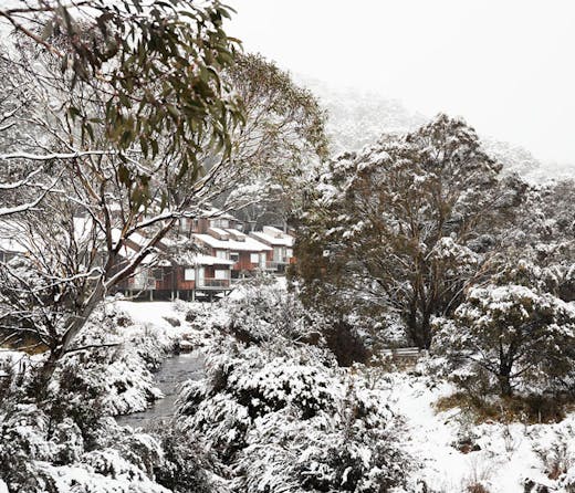 The Cedar Cabins at The Eastern accommodation in Thredbo. 