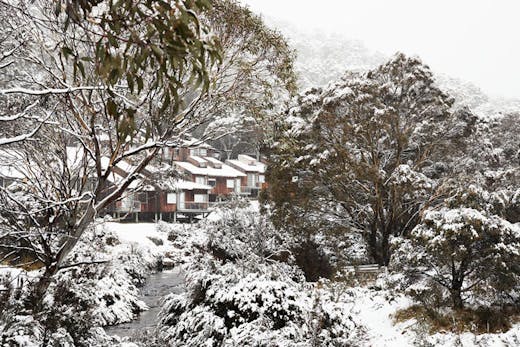 The Cedar Cabins at The Eastern accommodation in Thredbo.