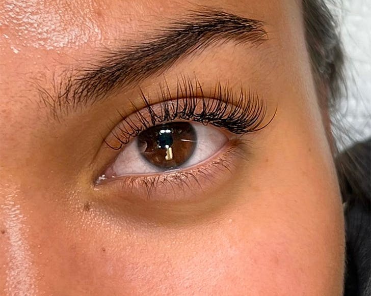 A close up of The Lash Room's Classic Natural Set, one of the best places for lashes in Auckland.