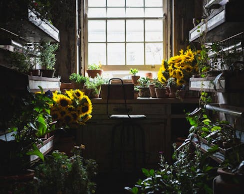 The-Potting-Shed-Sydney-cafe-bar