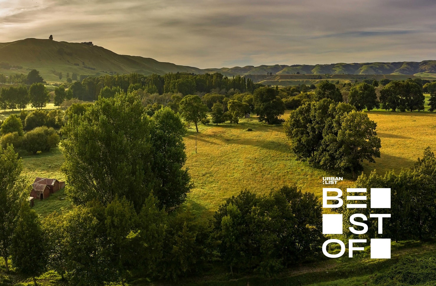 A view over rolling Martinborough hills. 