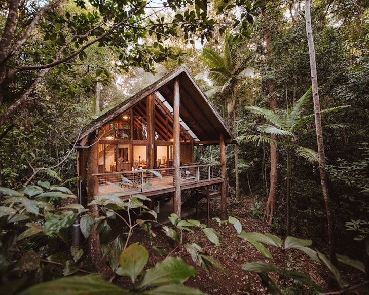 A view of the Airbnb among the trees at The Canopy best treehouse stays Queensland