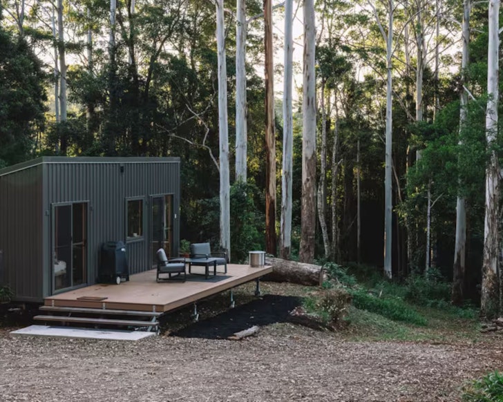 The Eucalypts tiny home South East Queensland surrounded by gum trees