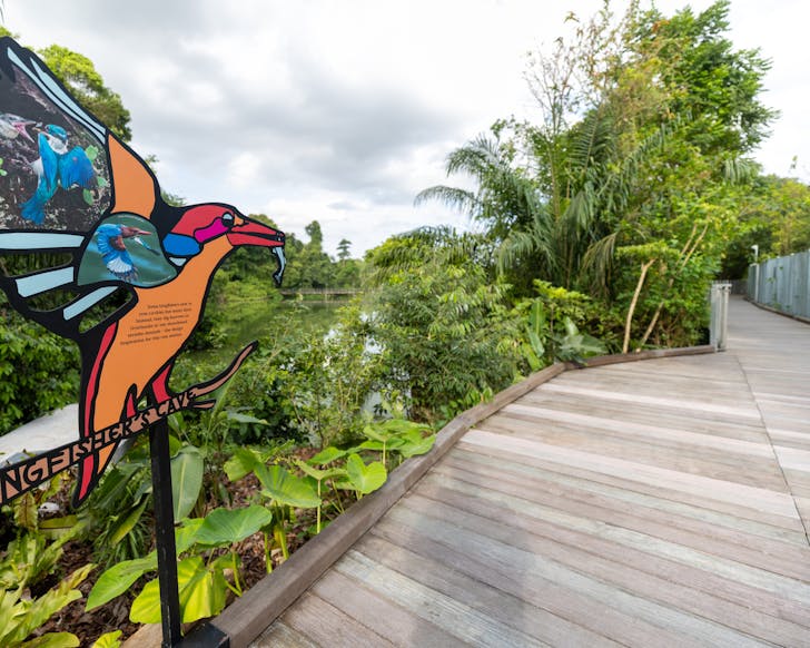 The Mandai Boardwalk