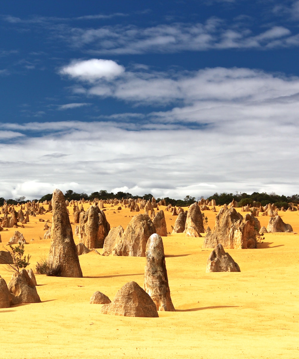 Sandstone at The Pinnacles in Western Australia