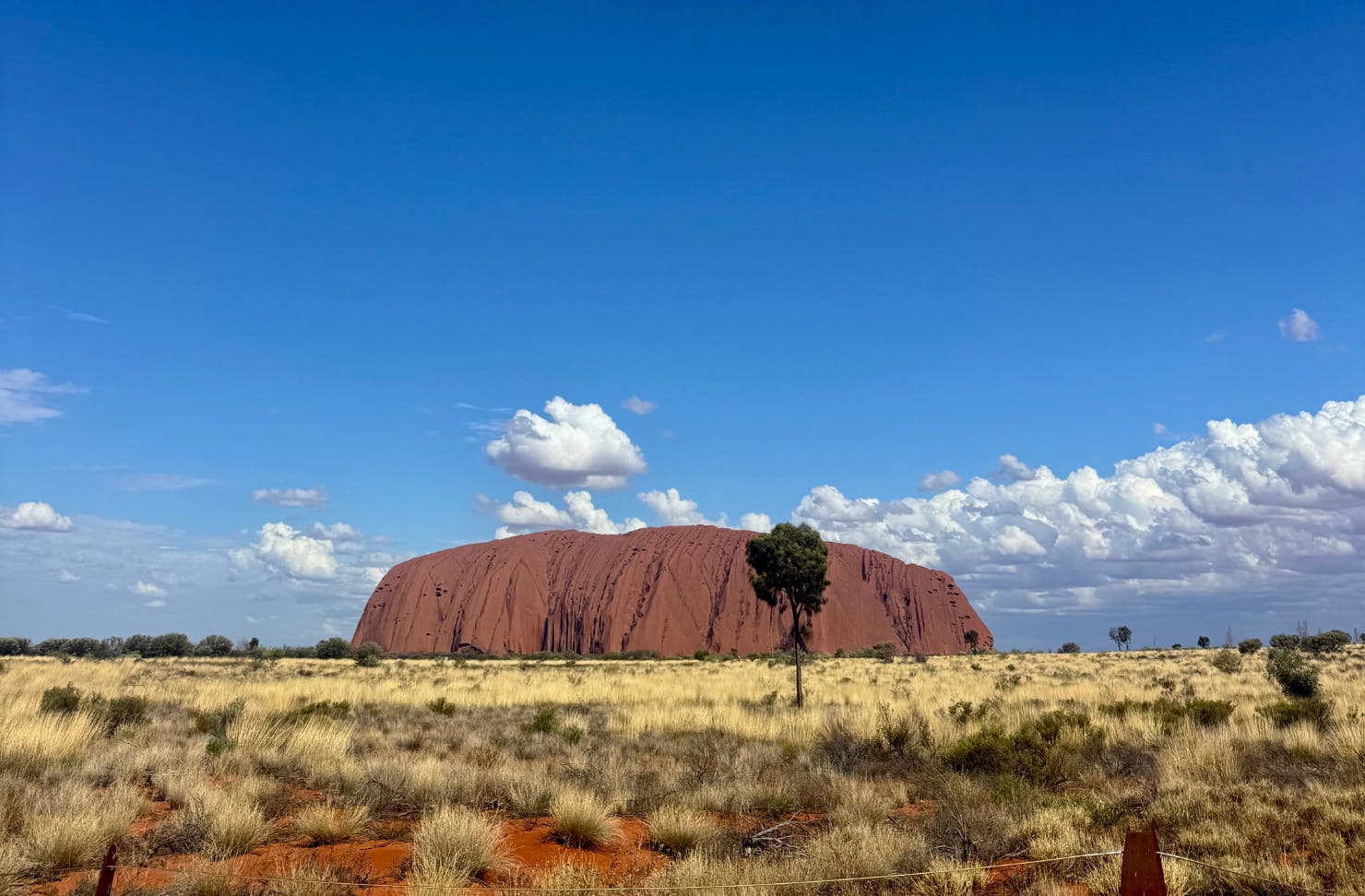 The Red Centre Trip Custom Made For Maximum Whimsy And Adventure