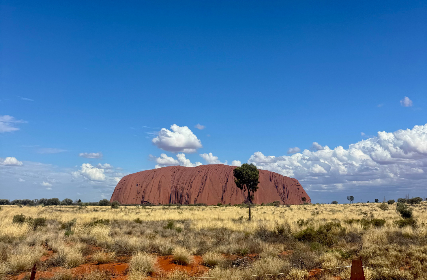 The Red Centre Trip Custom Made For Maximum Whimsy And Adventure