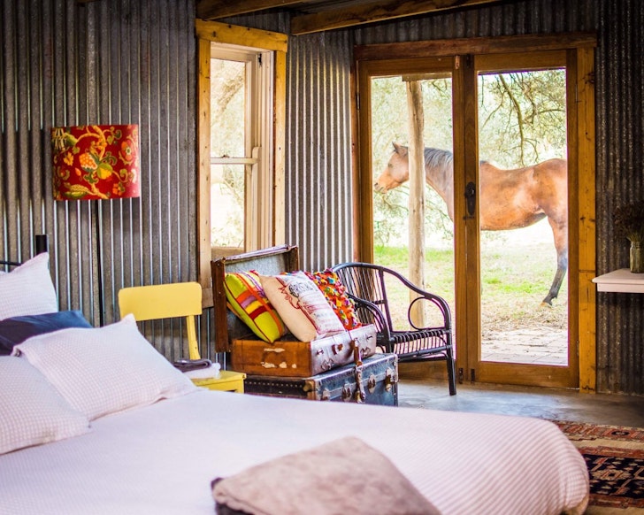A horse outside the window at The Shearing Shed best NSW farm stays