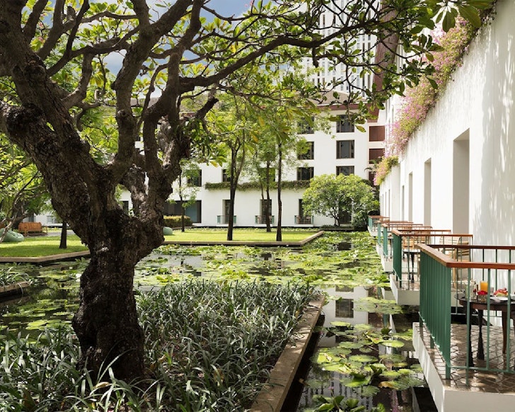 Lily ponds in the garden of The Sukhothai Bangkok one of the best Bangkok hotels