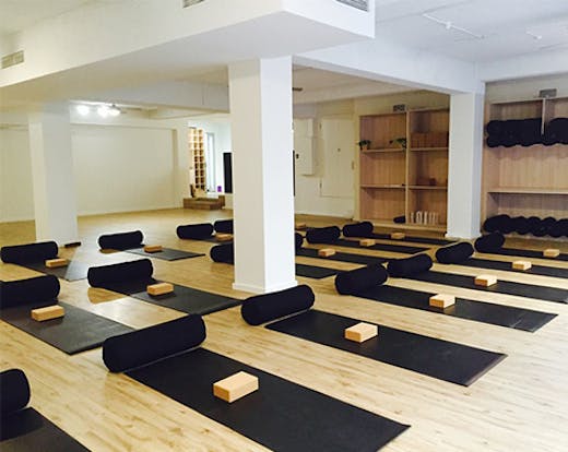 The Yoga Vine, Perth, Vinyasa, Yoga in Perth, Yoga Perth, Perth Yoga Studio