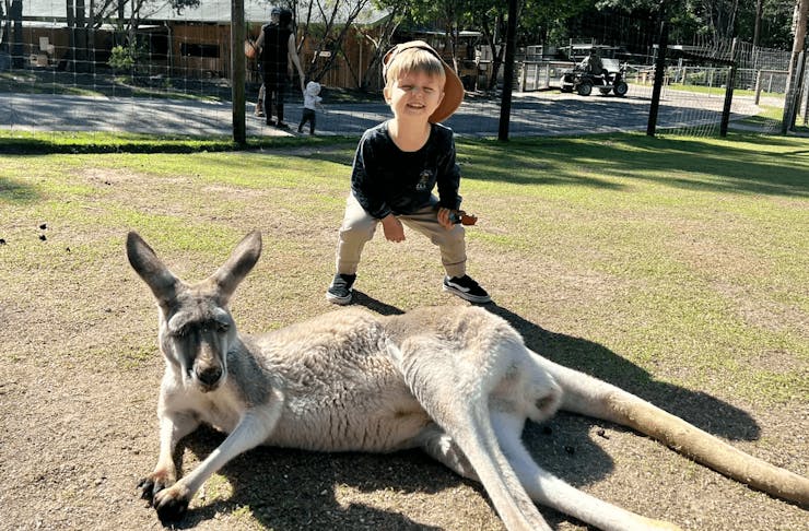 A small child standing and smiling behind a kangaroo. 