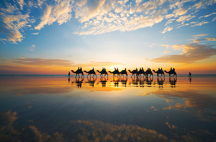 camels on Cable Beach in Broome