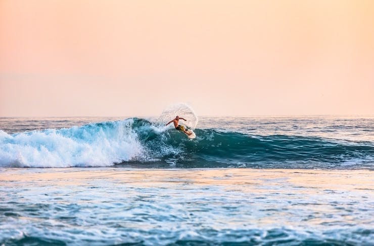 things to do on the sunshine coast february
