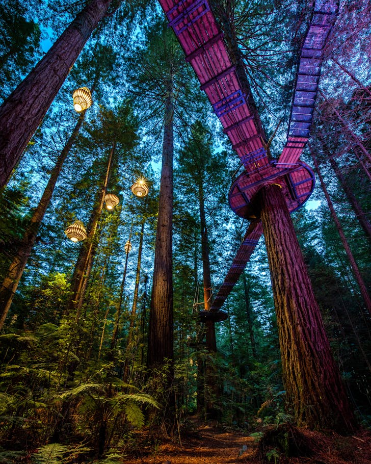Things-To-Do-Rotorua-Redwoods-Treewalk-Urban-List