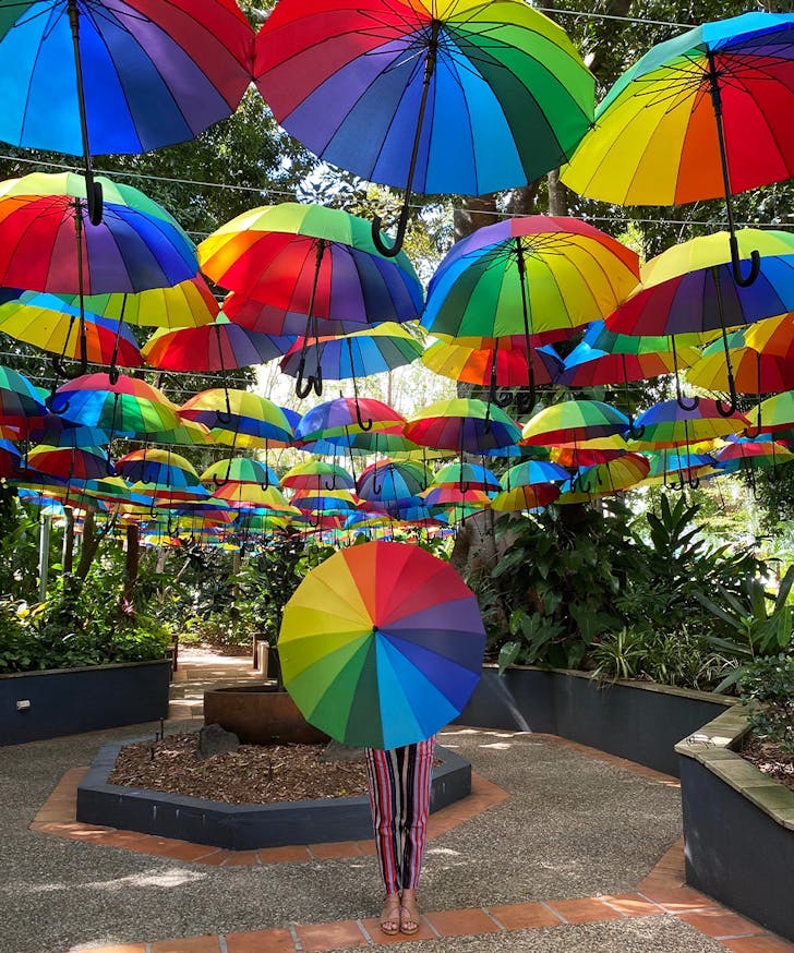 rainbrella project at the ginger factory