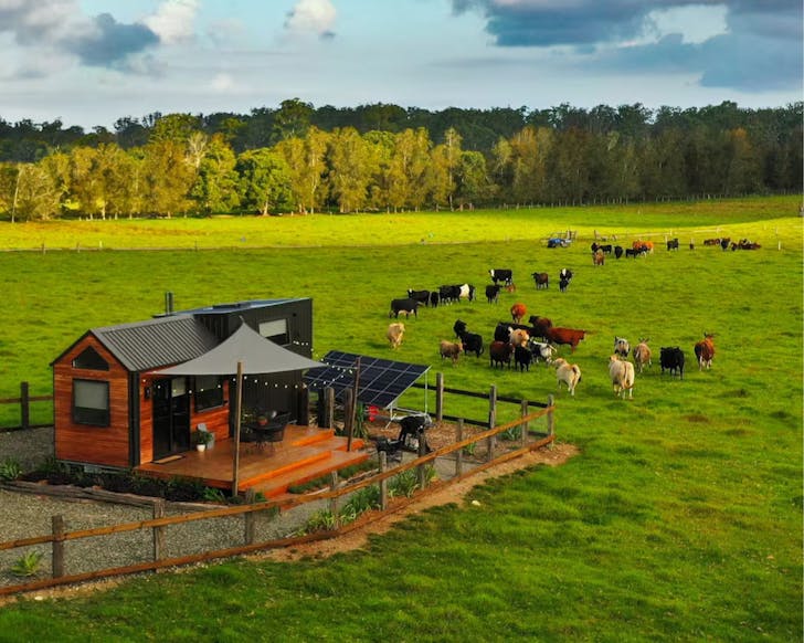 A view of Tiny Farm Escape farm stay surrounded by cows