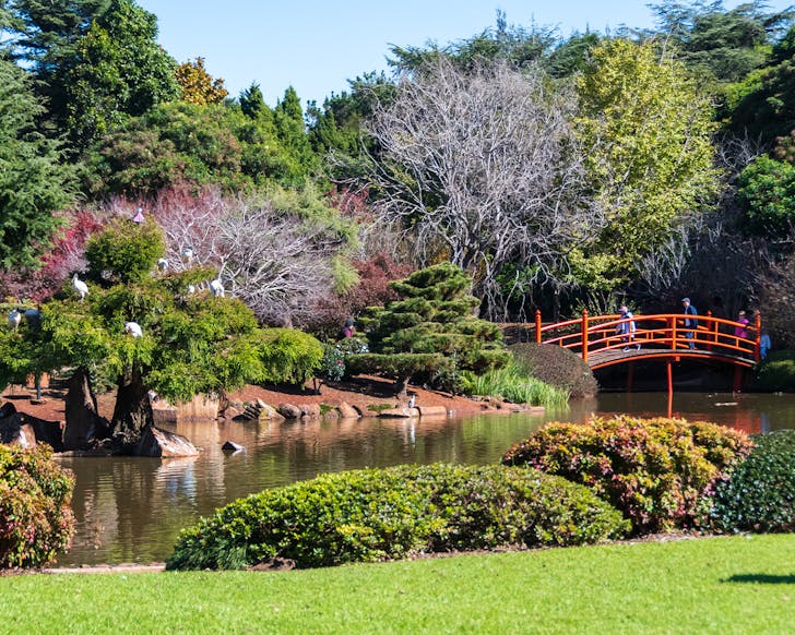 toowoomba japanese garden