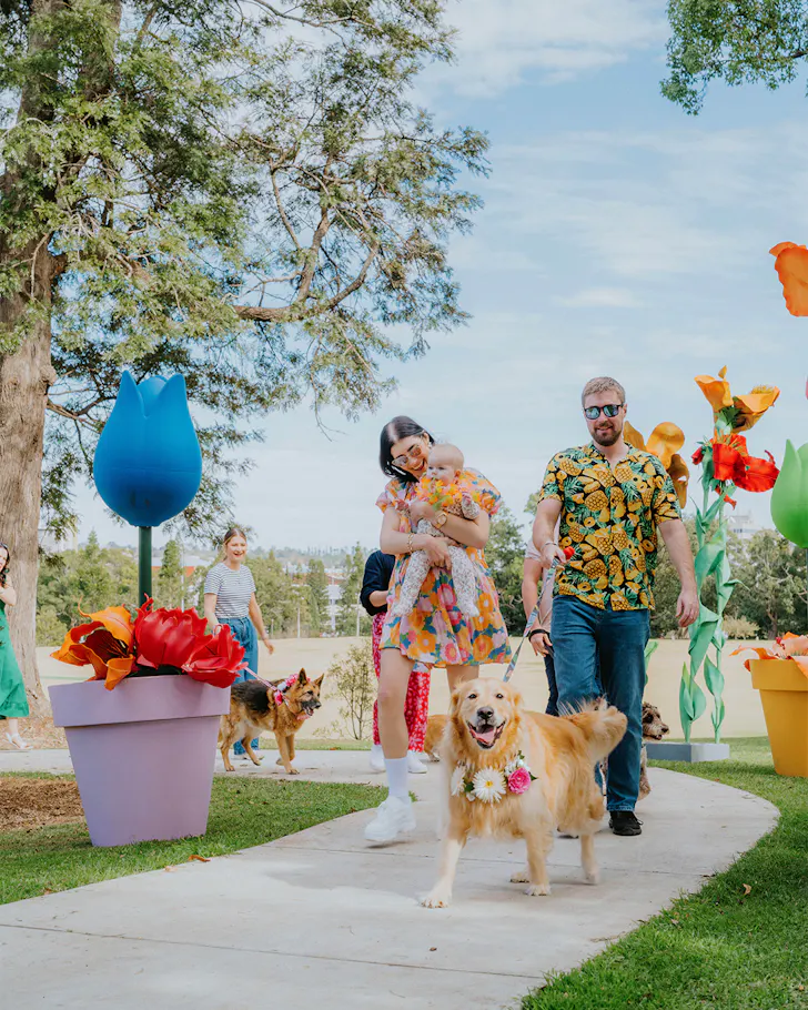 toowoomba carnival of flowers