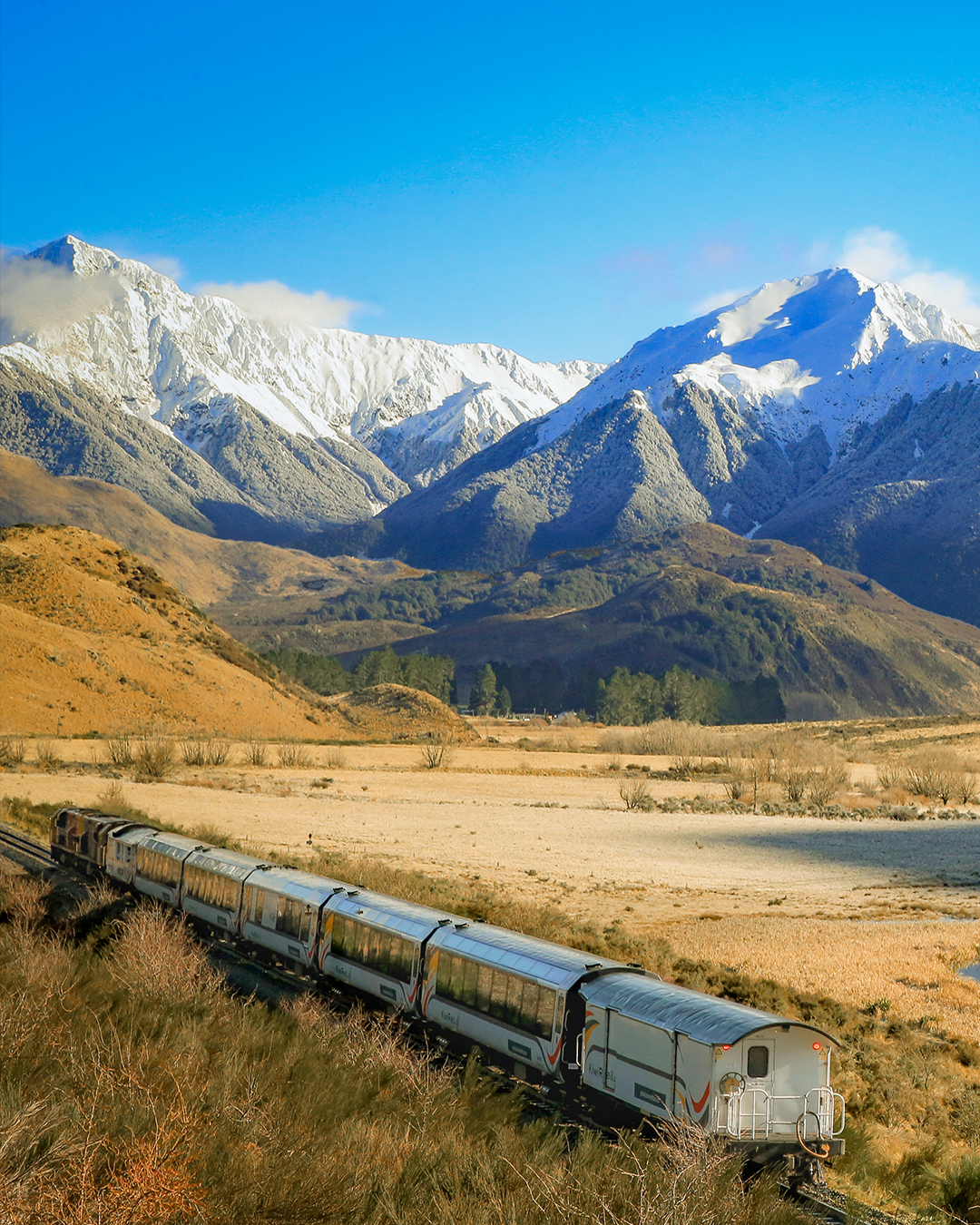 TranzAlpine passes Lake Sarah on a clear day, past snowy mountains.